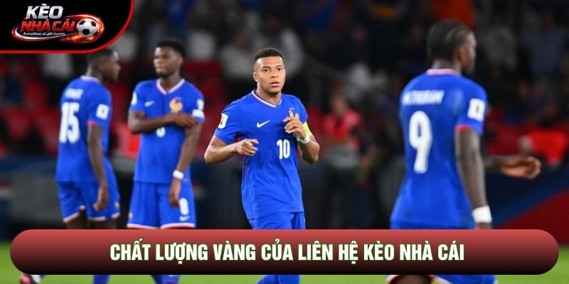 Chất lượng vàng của liên hệ kèo nhà cái