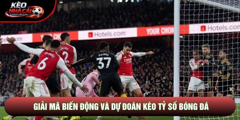 Giải mã biến động và dự đoán kèo tỷ số bóng đá