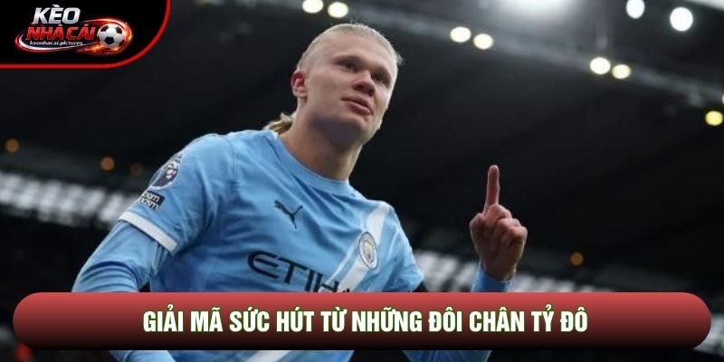 Giải mã sức hút từ những đôi chân tỷ đô
