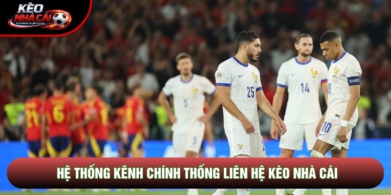 Hệ thống kênh chính thống liên hệ kèo nhà cái