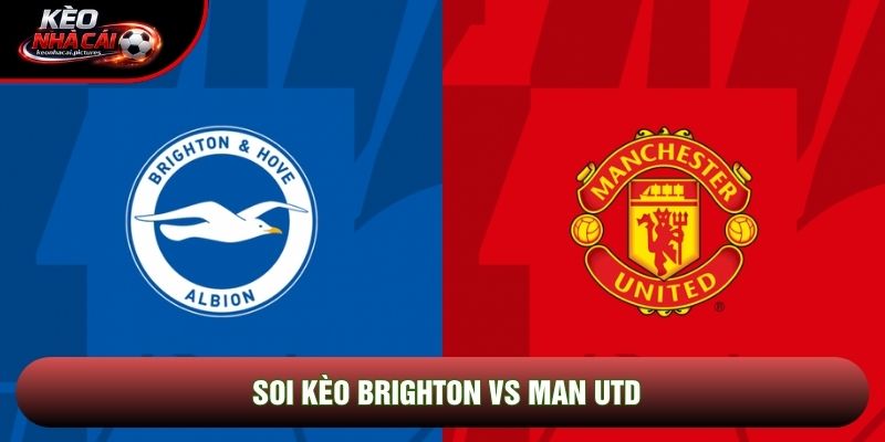 Soi Kèo Brighton Vs Man Utd | 22:00 24/5/2026 – Ngoại hạng Anh