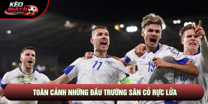Toàn cảnh những đấu trường sân cỏ rực lửa Toàn cảnh những đấu trường sân cỏ rực lửa