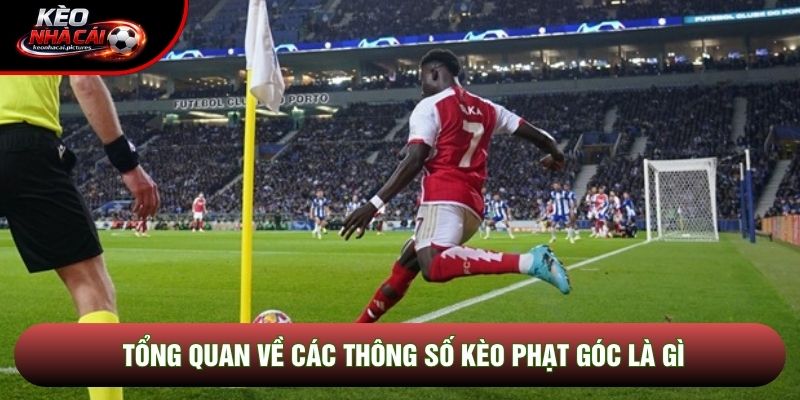 Tổng quan về các thông số kèo phạt góc là gì