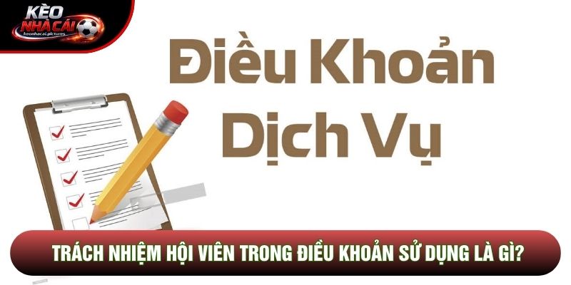 Trách nhiệm hội viên trong điều khoản sử dụng là gì?