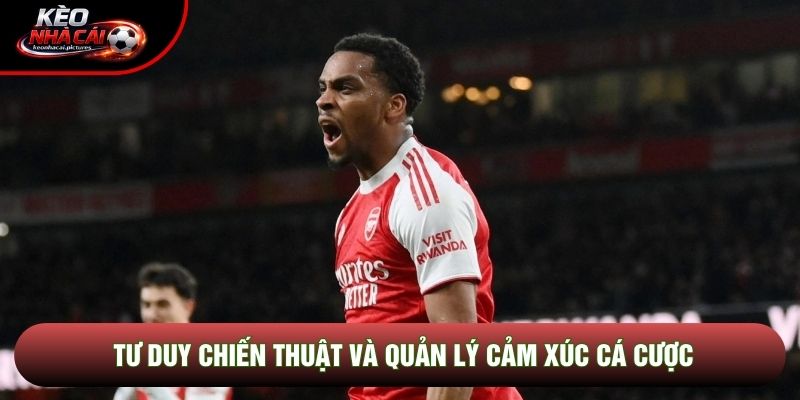 Tư duy chiến thuật và quản lý cảm xúc cá cược